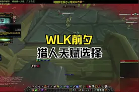 WLK前夕猎人天赋选择.mp4视频封面
