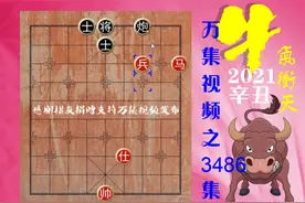 红方马兵胜炮士，艺人手段高，新手都难以破解，象棋残局魅力无穷