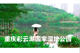 重庆彩云湖国家湿地公园视频封面