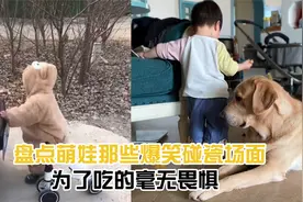 萌娃爆笑碰瓷场面！娃娃为吃辣条毫无畏惧，骑滑板车直往汽车上撞视频封面