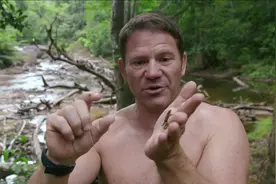 凶猛野兽：世界上最大的蚂蚁，咬你一口，就像被子弹打中般的疼