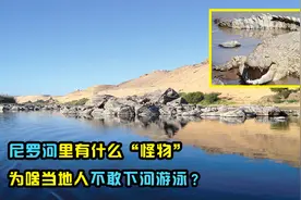 世界第一长河尼罗河，相比长江可怕在哪？为何很少人敢下水游泳视频封面