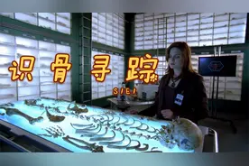 湖底惊现女尸，美女法医追凶破案—高分悬疑美剧识骨寻踪S1E1精讲
