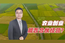 开葡萄园工资1分没有，投资款打水漂！农业创业合伙经营是否靠谱视频封面