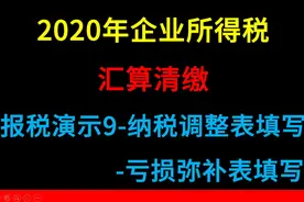 企业所得税汇算清缴9-纳税调整项目明细表+弥补亏损明细表填写视频封面