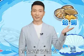 这些海鲜你会读吗？“康老师”在线讲解视频封面