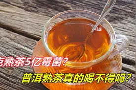 一克熟茶五亿霉菌，一杯熟茶等于一杯脏水？普洱熟茶真的喝不得？视频封面
