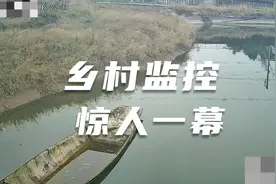 乡村监控拍下惊人一幕视频封面