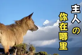 痛惜，“西藏冒险王”跌落冰川完整视频曝光，为重拍视频不慎滑倒视频封面