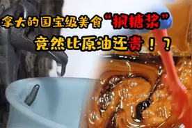 加拿大的国宝级美食“枫糖浆”，竟比原油还贵？枫农只能偷偷卖视频封面