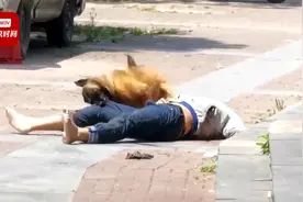 网曝江苏一男子当街被狗撕咬 街道办：男子醉酒逗狗视频封面