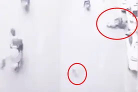 飞来横祸！大鹅突然从天而降砸中骑车女子 网友：铁锅已备好视频封面