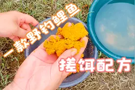 一款鲤鱼搓饵配方，饵料状态附钩性和味型都很好，野钓鲤鱼不空军视频封面