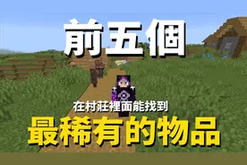 我的世界 村民都收藏些什么稀有物 村庄稀有物前五名