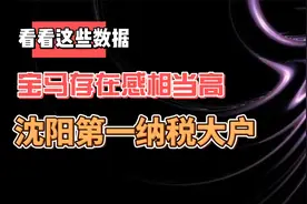 沈阳第一纳税大户 宝马存在感相当高视频封面