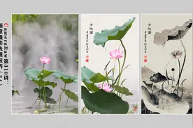 CameraRaw第310讲：画意摄影表现技巧（34）构图后的荷花创意表现视频封面