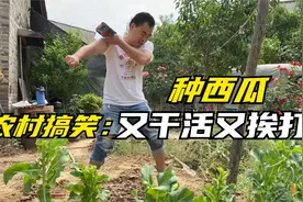 农村搞笑：母子俩斗嘴，儿子嘴硬母亲招高，结果是又挨打又干活！视频封面