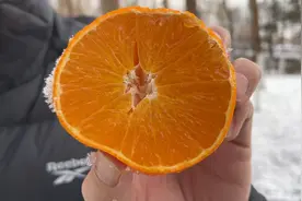 爱媛果冻橙到底是橙子还是桔子？有的人纠结，咱们研究下它的身世视频封面