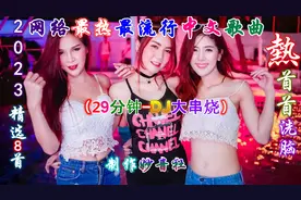 2023精选/8首爆红神曲《29分钟-DJ大串烧》，太好听了