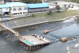 日式农村“捕鱼神器”，把竹排铺到河面上，鱼儿大大小小全留下！视频封面