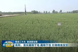 河南南阳：落实藏粮于地,藏粮于技,扛稳粮食安全视频封面