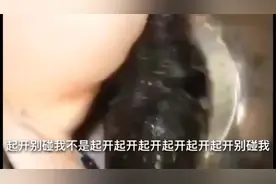 搞笑视频：我知道错了，别生气了。