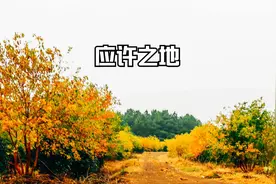 应许之地 一个藏在深山无人识的神仙地方视频封面