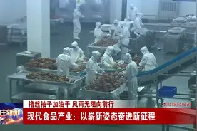 石家庄现代食品产业：以崭新姿态奋进新征程视频封面