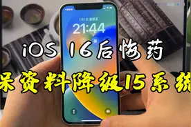 全网最详细的iOS 16降级教程，保资料完美降级iOS 15.5！视频封面