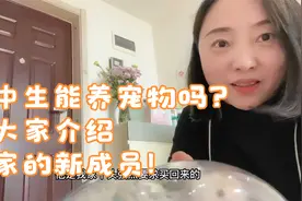高中生能养宠物吗？给大家介绍我家的新成员，仓鼠小汤圆！视频封面
