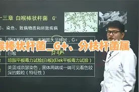 【公开课】医学微生物学十三课　白喉棒状杆菌_G+、分枝杆菌属视频封面
