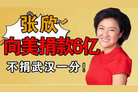 张欣向美捐款6亿，一分钱不给武汉，原来背后早有预谋视频封面