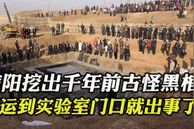 信阳挖出千年前神秘黑棺，X光都照不透，出土文物令专家惊呼极品视频封面