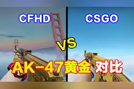 CFHD AK-47 黄金对比CSGO AK-47 | 黄金藤蔓 (崭新出厂)视频封面