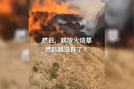 盘点那些猝不及防的尴尬瞬间，大嫂虽然没放开，但依然是最靓的仔视频封面