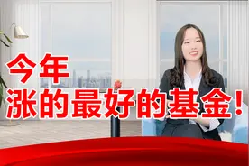今年涨的最好的基金视频封面