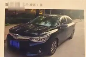 打哈啰顺风车托运名贵宠物狗，狗不慎丢失，司机最多赔400？视频封面