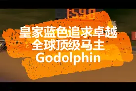皇家蓝色追求卓越：全球顶级马主Godolphin（高多芬）视频封面