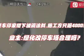 爱车停家楼下被滴涂料,施工方只赔4000!业主:绿化改停车场合理吗?视频封面
