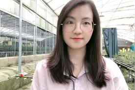蕙兰红素天花板，曾经百万天价的兰花，花色如此漂亮你们心动了吗视频封面