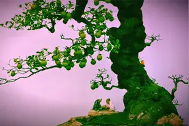 沭阳精品金弹子老桩盆景集锦，老树盘根的造型，沧桑古拙气势不凡视频封面