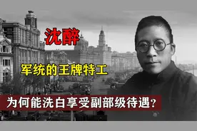 年作为军统的‘王牌特工’沈醉为啥可以洗白，享副部级待遇视频封面