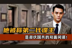 他被称第二代谍王，潜伏国共的双面间谍，沈之岳最终结局如何？视频封面