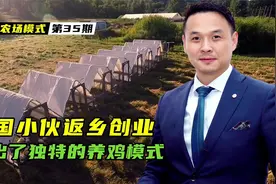 美国小伙返乡创业，玩出了独特的养鸡模式！他的盈利模式值得借鉴视频封面