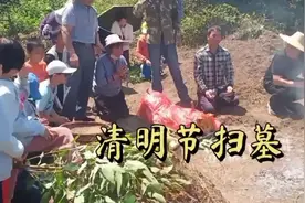 又到清明时节拜祭祖先，我是中国第一大姓“王”氏，廉江洋官塘村视频封面