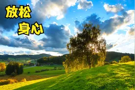 【散步神曲】集中专注轻音乐，唯有靠自己才会成功