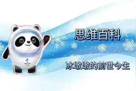 思维百科｜冰墩墩的前世今生视频封面