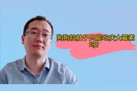 狗狗拉肚子只能吃庆大霉素？这几种药物也是治疗腹泻首选视频封面