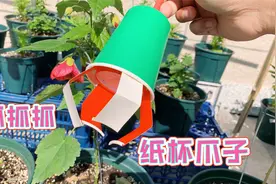 用纸杯制作小爪子，用来捡东西挺好玩，简单有趣又创意