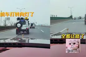 当你开劳斯莱斯上路！自带“清场”效果一路领先，其他车反应亮了视频封面